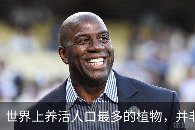 世界上养活人口最多的植物，并非小麦和玉米，而是来自亚洲的奇迹